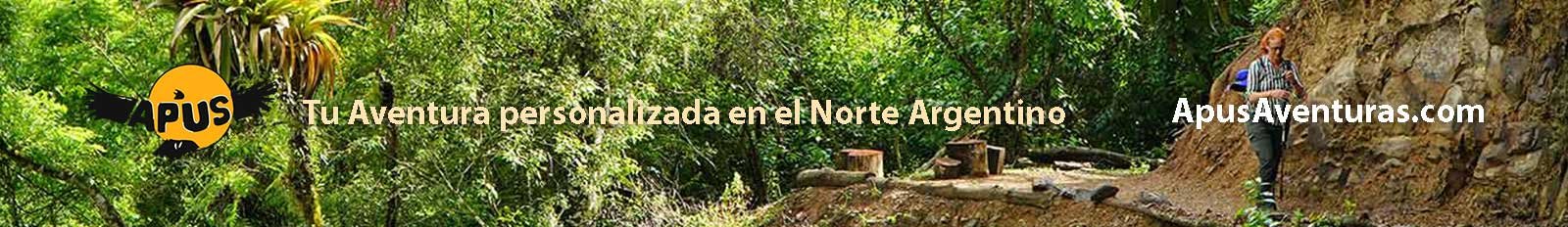 Trekking norte argentino